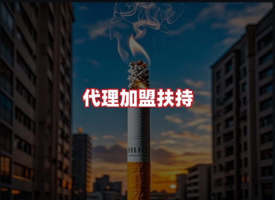 专业团队